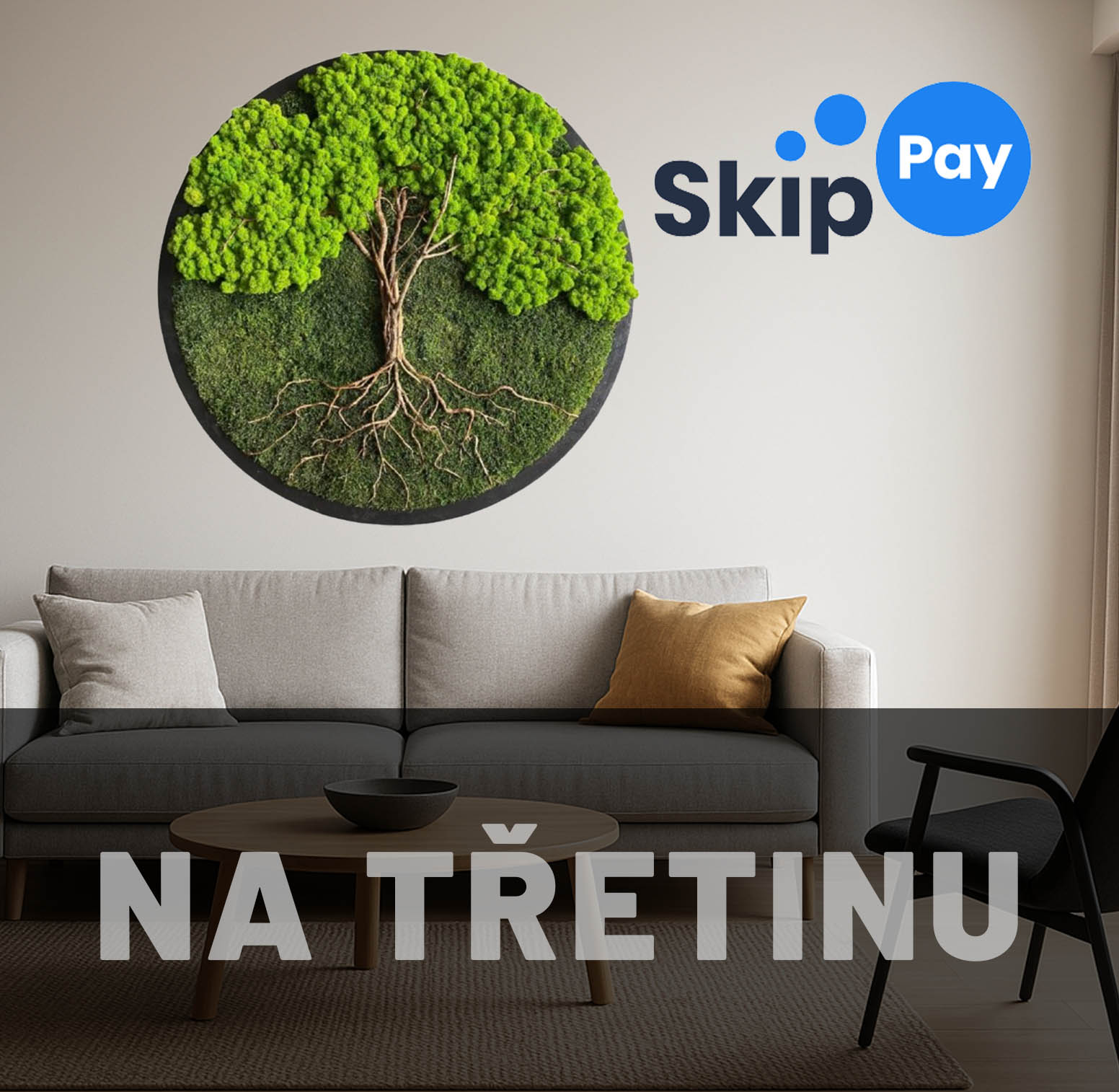 NA TŘETINU